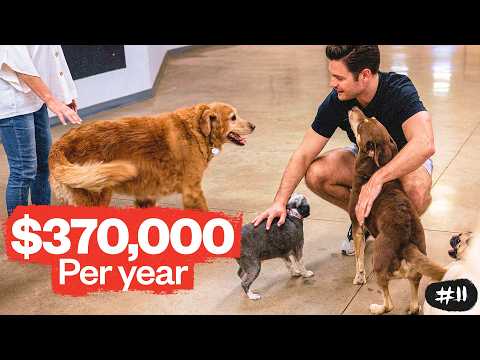 Work and Woof — $10K Marketing Deal | The Deal · Founderpath