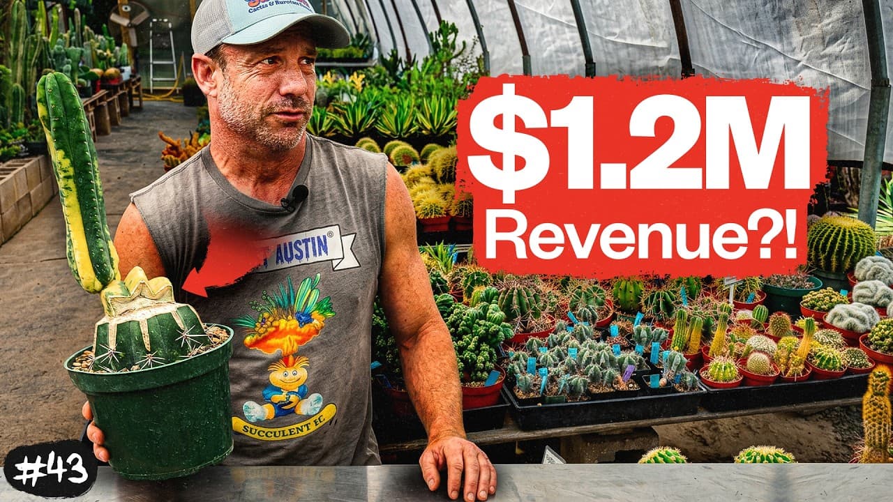 How East Austin Succulents Fell From $1.2M to $300K After a Move and Got No Deal