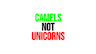 Build Camels, Not Unicorns Clip Thumbnail