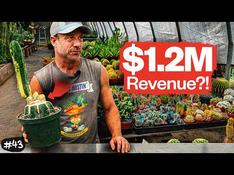 How East Austin Succulents Fell From $1.2M to $300K After a Move and Got No Deal