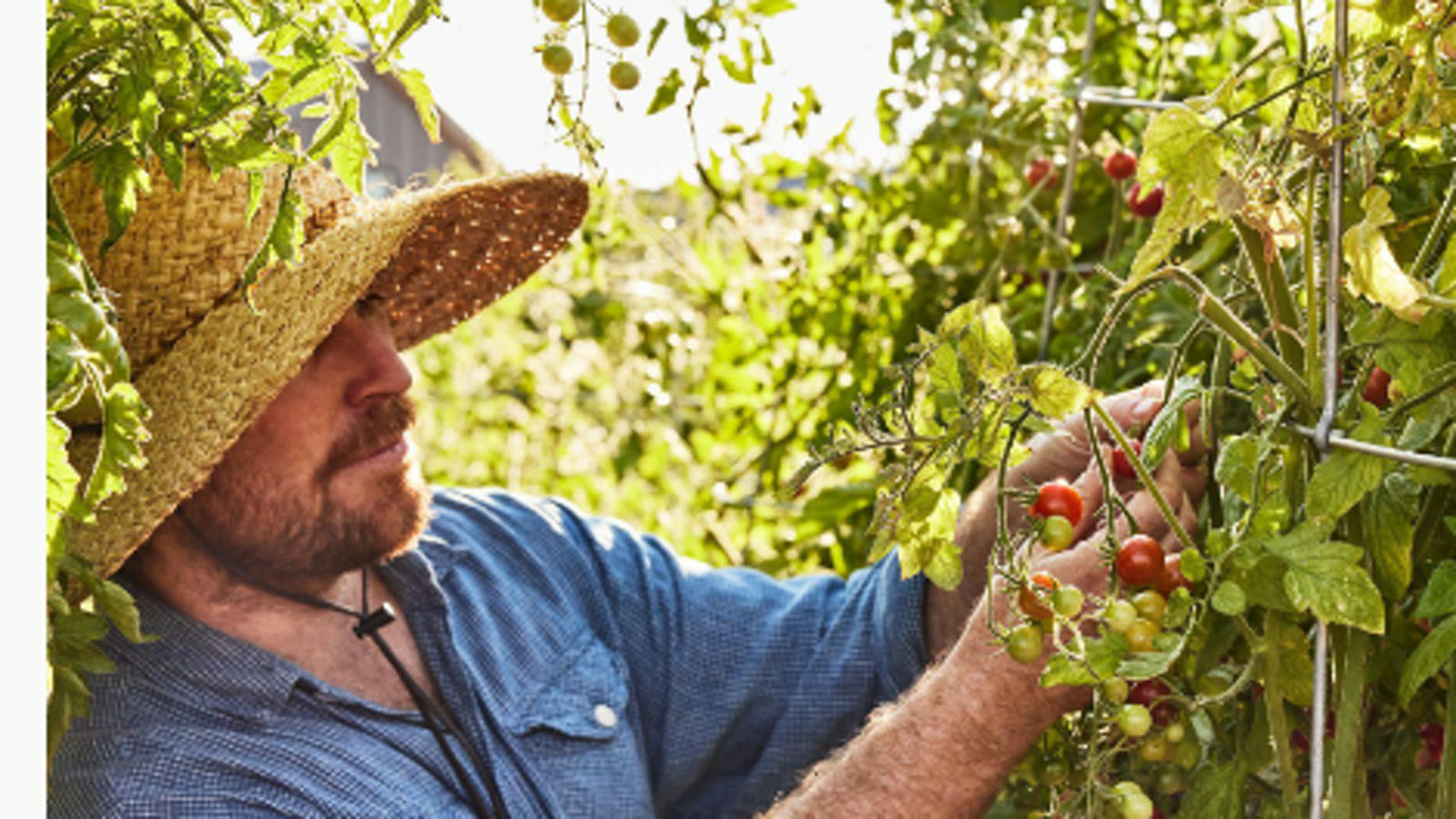 Tour the Grange with Farmer Nick